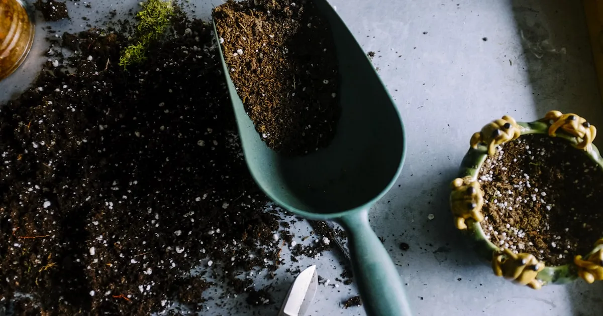Lead Nurturing e Recall: Qual e la Differenza